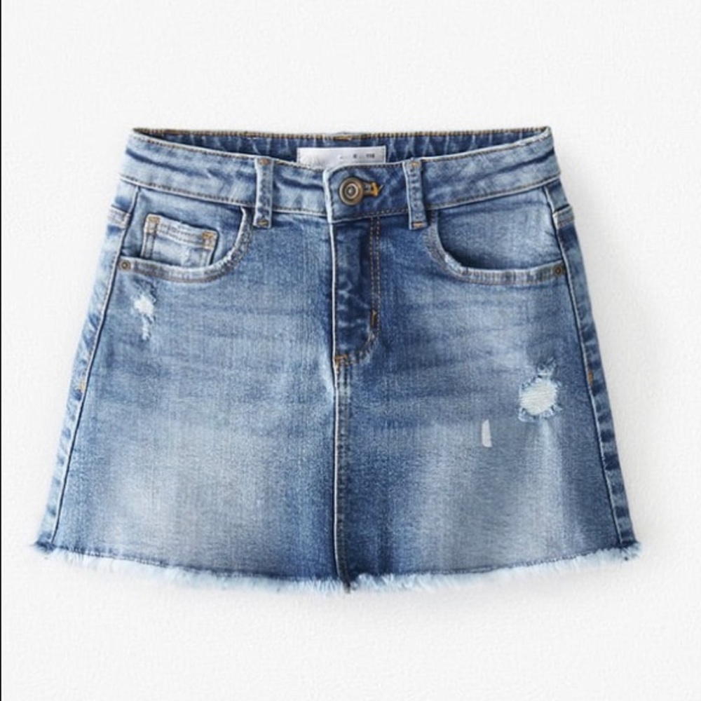 NWT! Zara skirt
